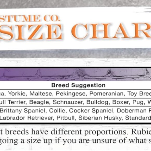 Pet Pirate Hat, Medium/Large NEW - Picture 5 of 6